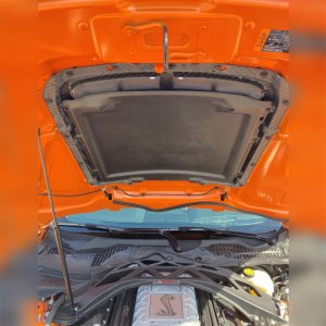 Ford Mustang Hood Vent Kit - Ford Racing - Gloss Finish - Carbon Fiber - `20-`22